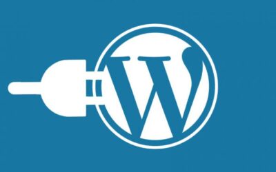 การทำปลักอิน WordPress